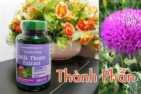 review Viên uống bổ gan Milk Thistle