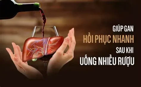 Tại sao gan cần được "giải cứu" sau những chầu rượu?